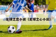 足球之恋小说（足球之心小说）